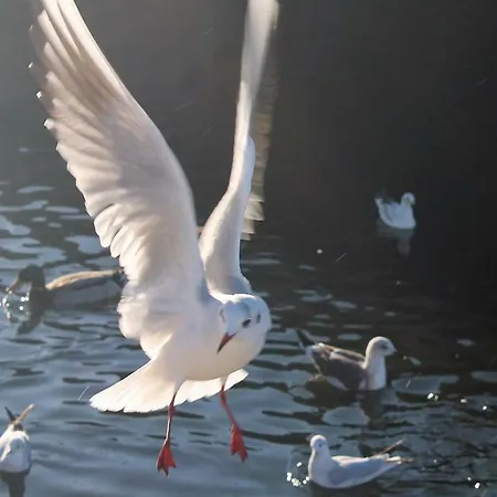 Casa Clara Hébergement de vacances *