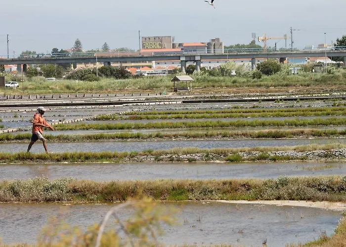 Hébergement de vacances Casa Clara Aveiro