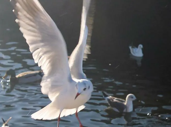 Casa Clara Hébergement de vacances *